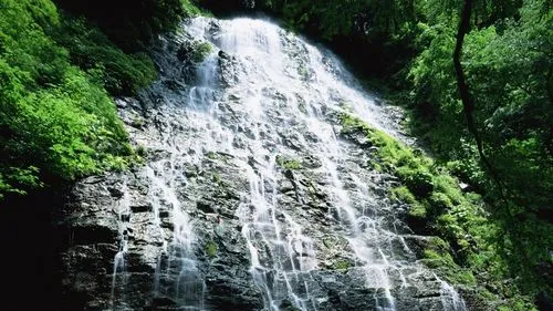 高效独特高质量